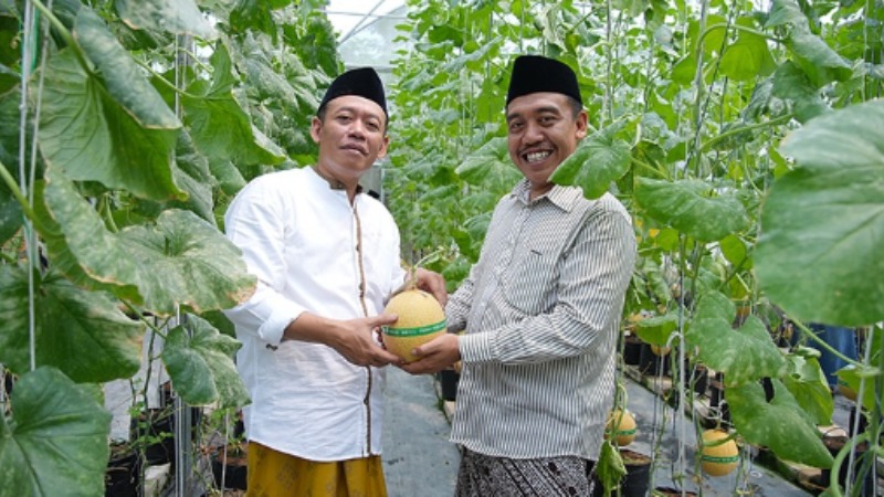 Mengenal Lebih Dekat Greenhouse Assalafiyyah Mlangi